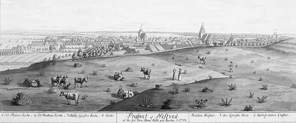 udsigt over Nstved 1753