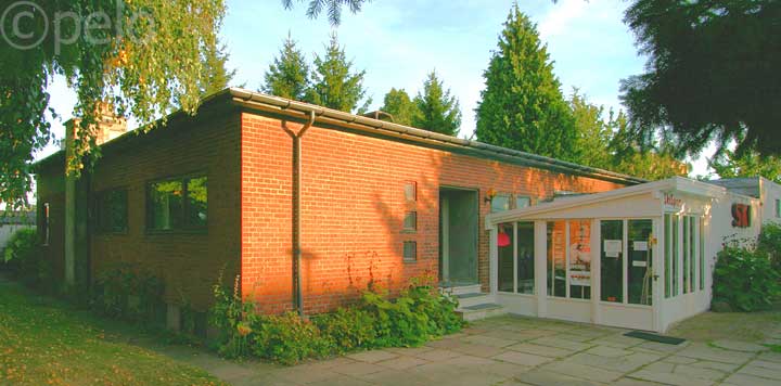 nskevillaen, Skellet 15